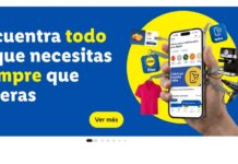 Lidl suplantación tiendas falsas fraude