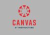 Ciberataque a la plataforma educativa Canvas Canvas ciberataque ciberseguridad